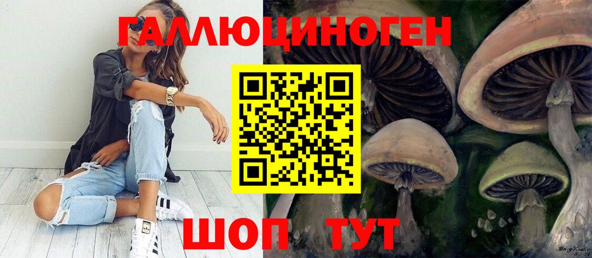 Псилоцибиновые грибы прущие грибы Гусь-Хрустальный